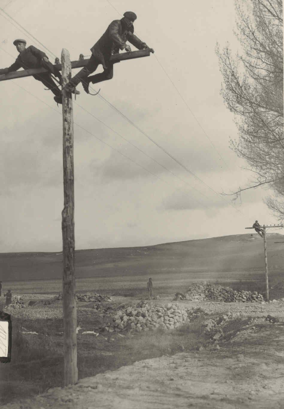 Tala de los árboles de la carretera Cuenca-Valencia que perjudican a la línea telefónica.