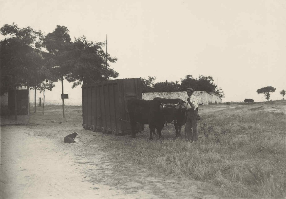 Crates for the transport of fighting bulls. Torrelodones.